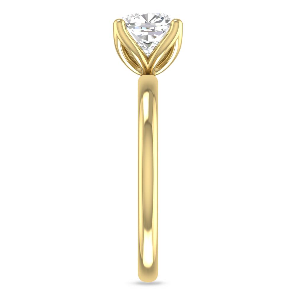 Yellow Gold - 2