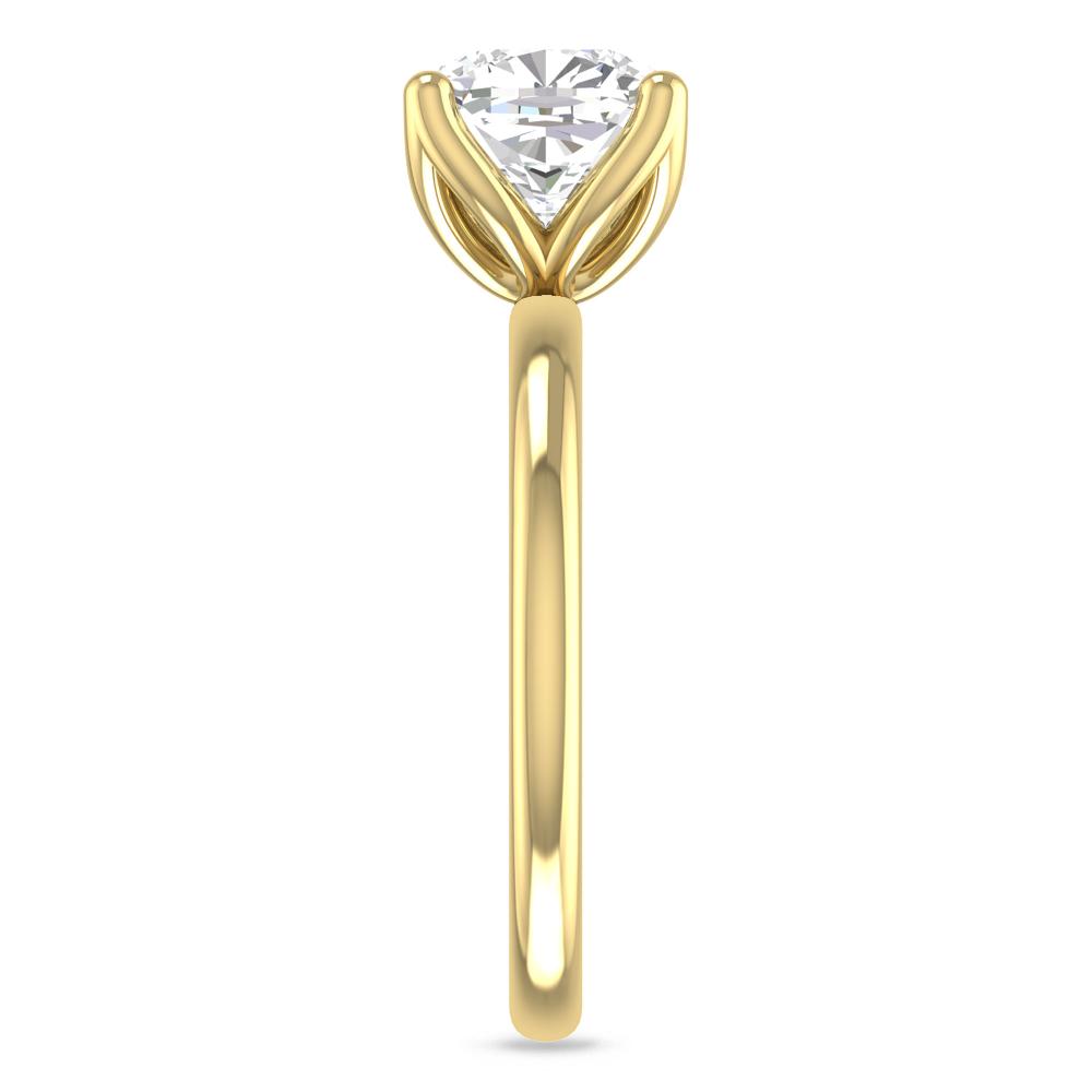 Yellow Gold - 3
