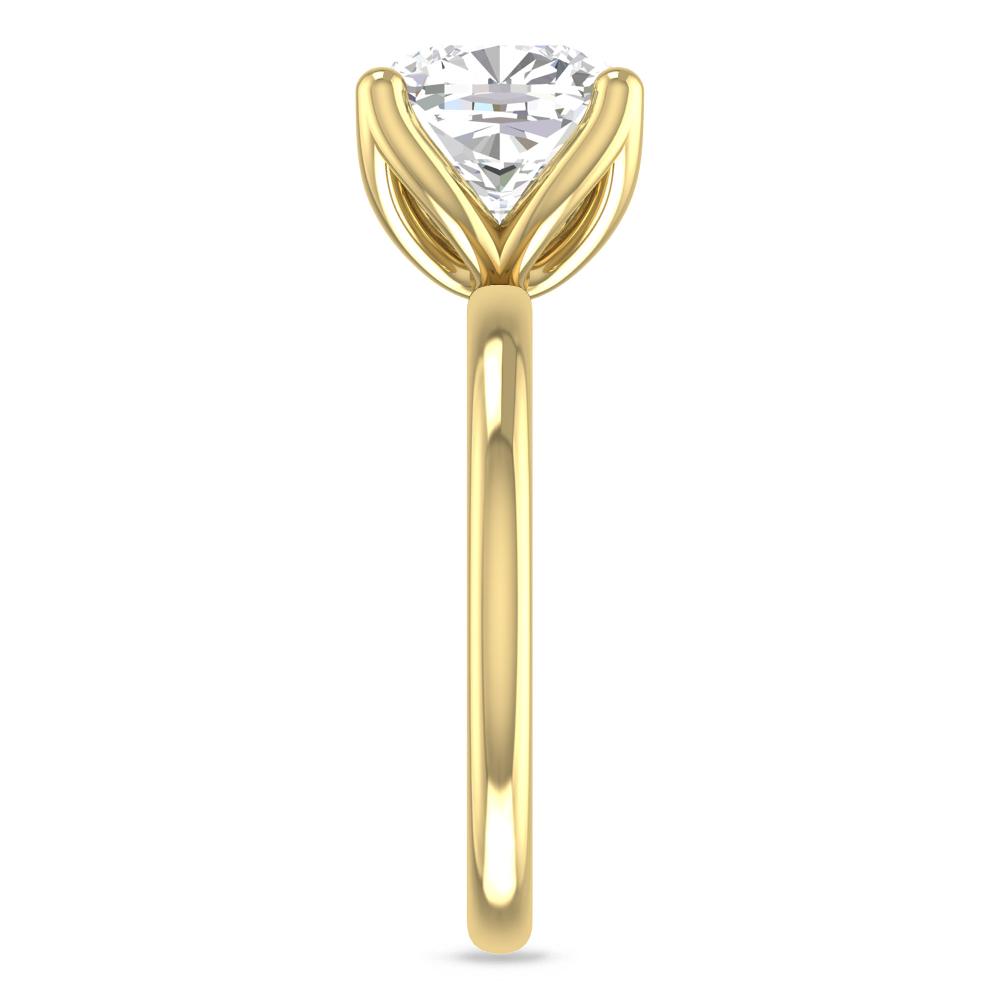 Yellow Gold - 4