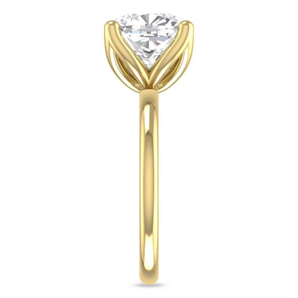Yellow Gold - 5