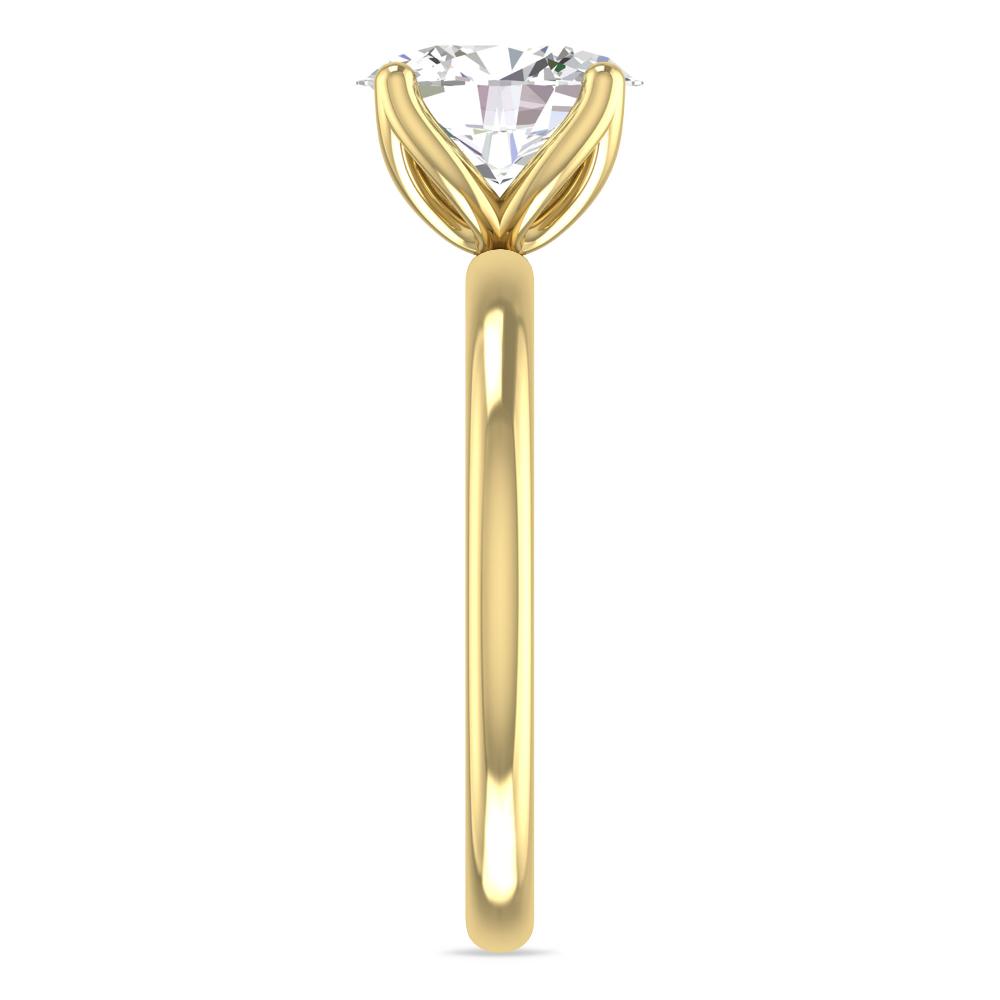 Yellow Gold - 2