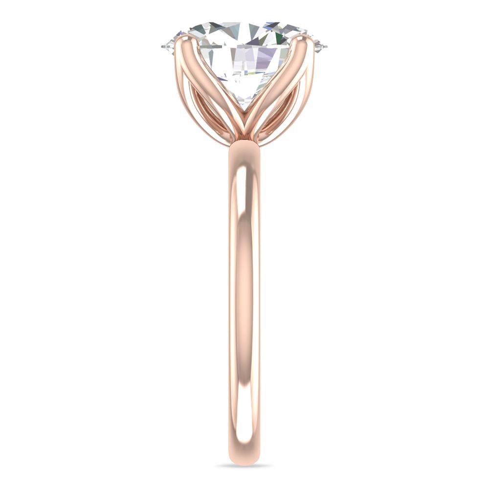 Rose Gold - 4