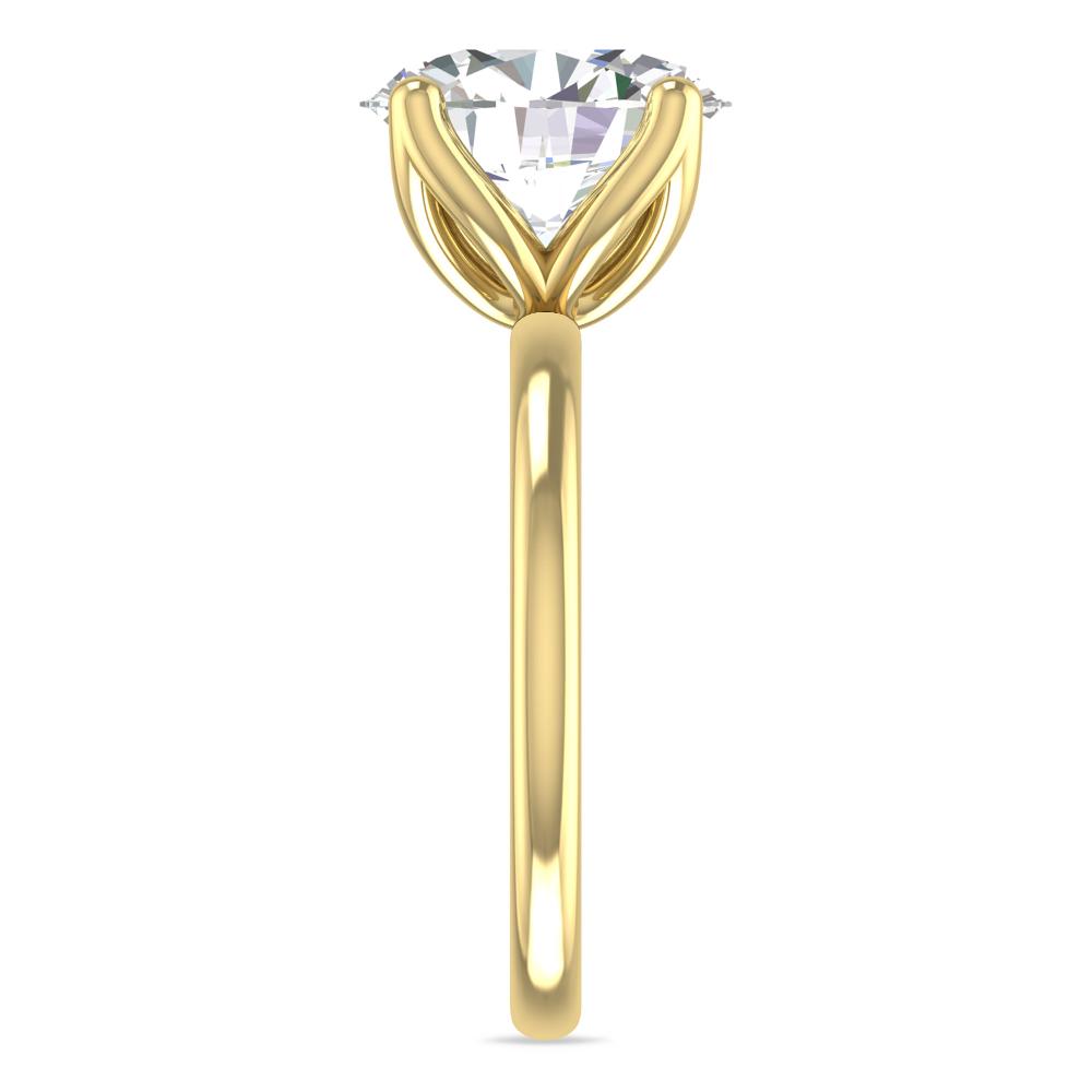Yellow Gold - 4