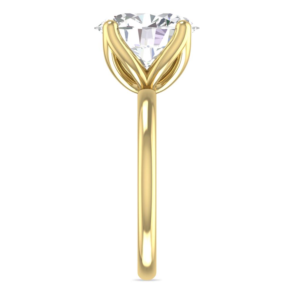 Yellow Gold - 5