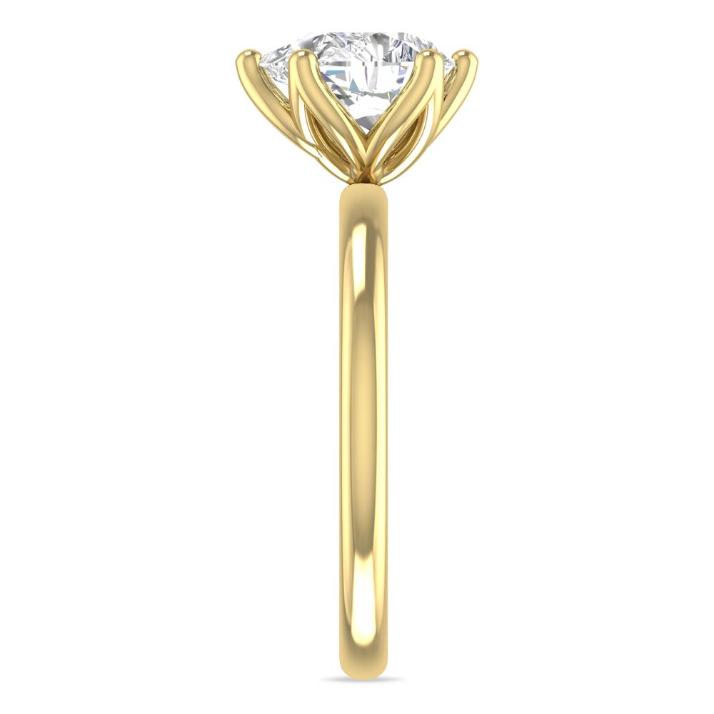 Yellow Gold - 2