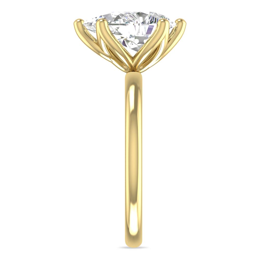 Yellow Gold - 3