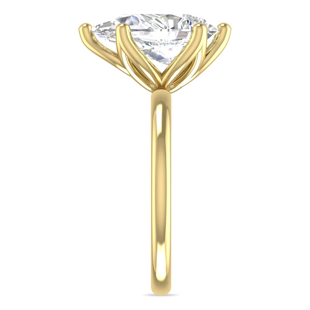 Yellow Gold - 4