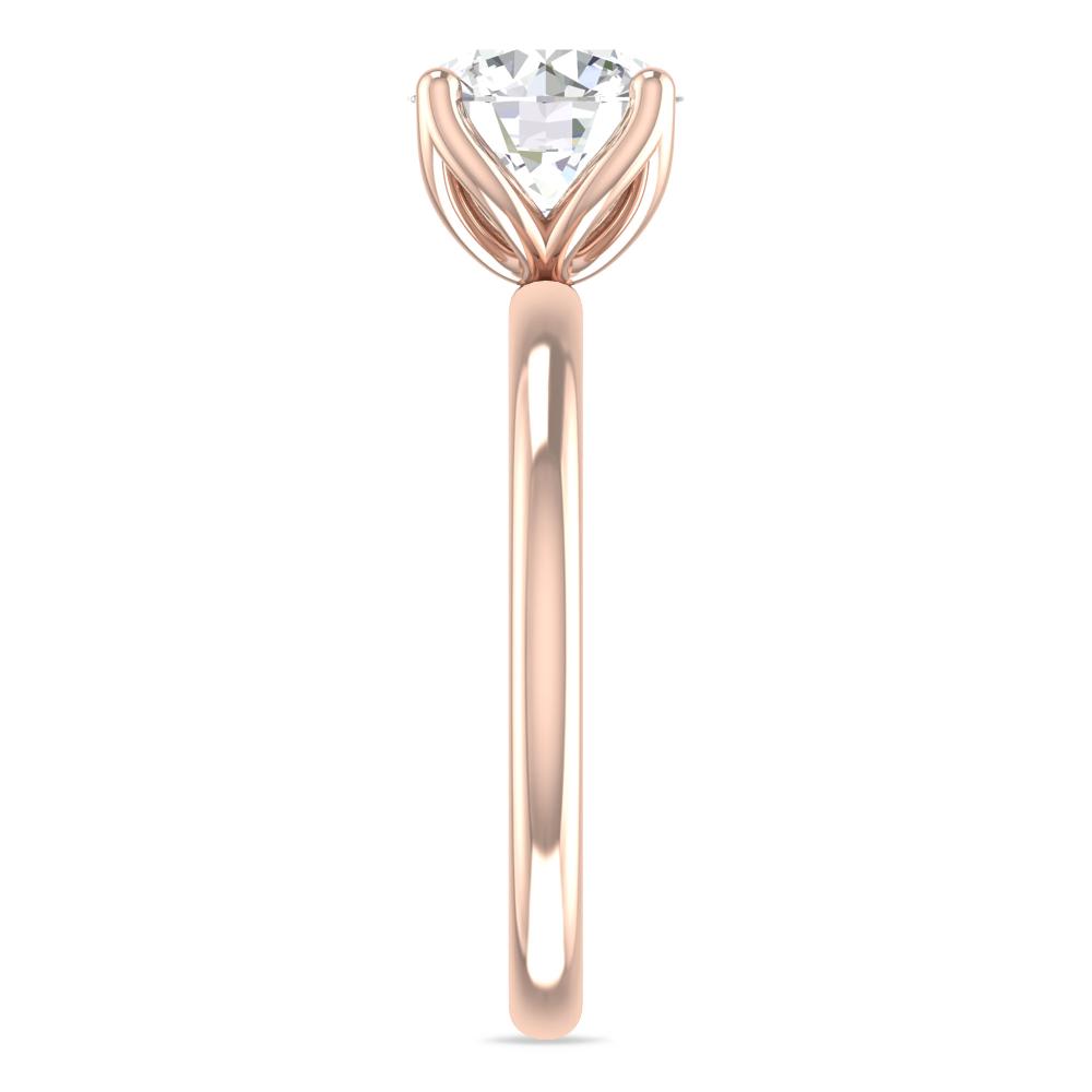 Rose Gold - 2