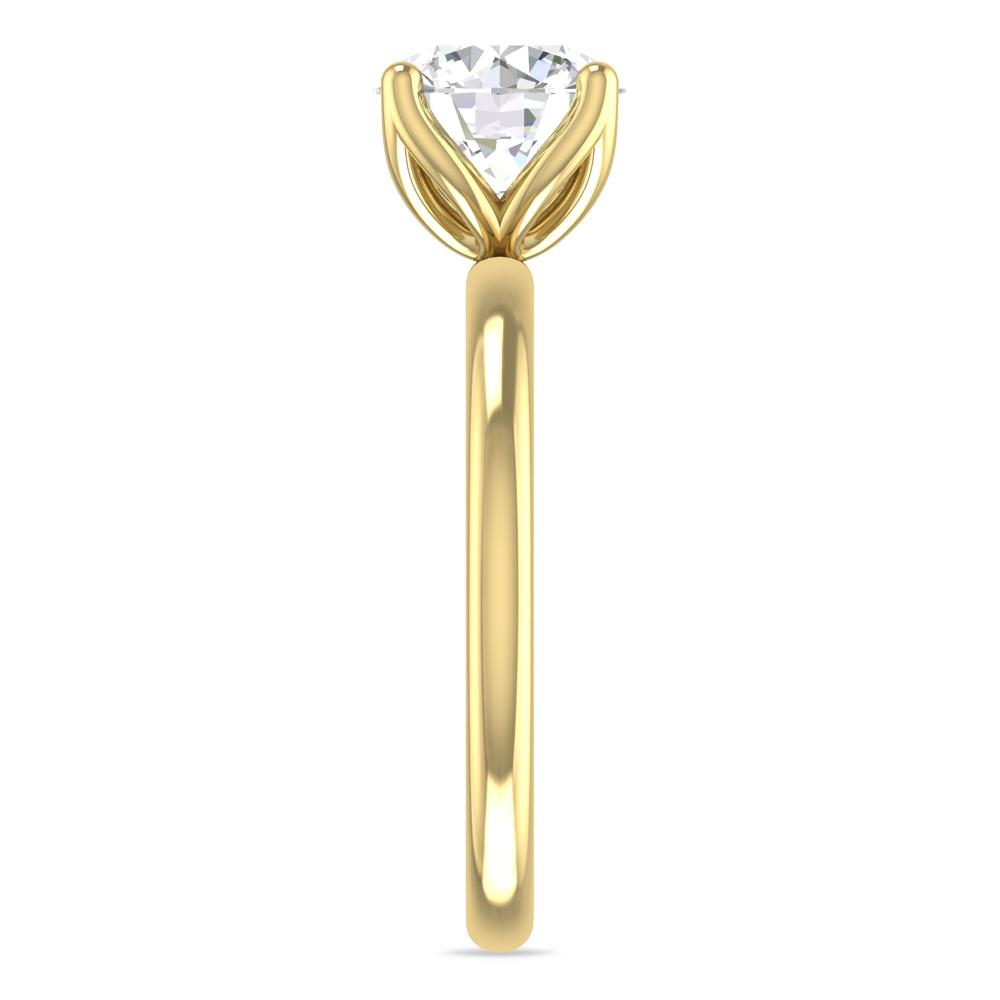 Yellow Gold - 2