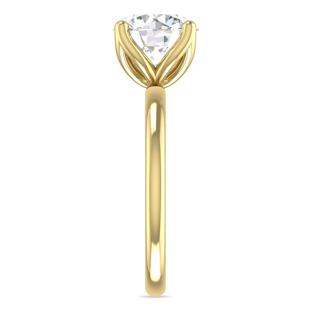 Yellow Gold - 3