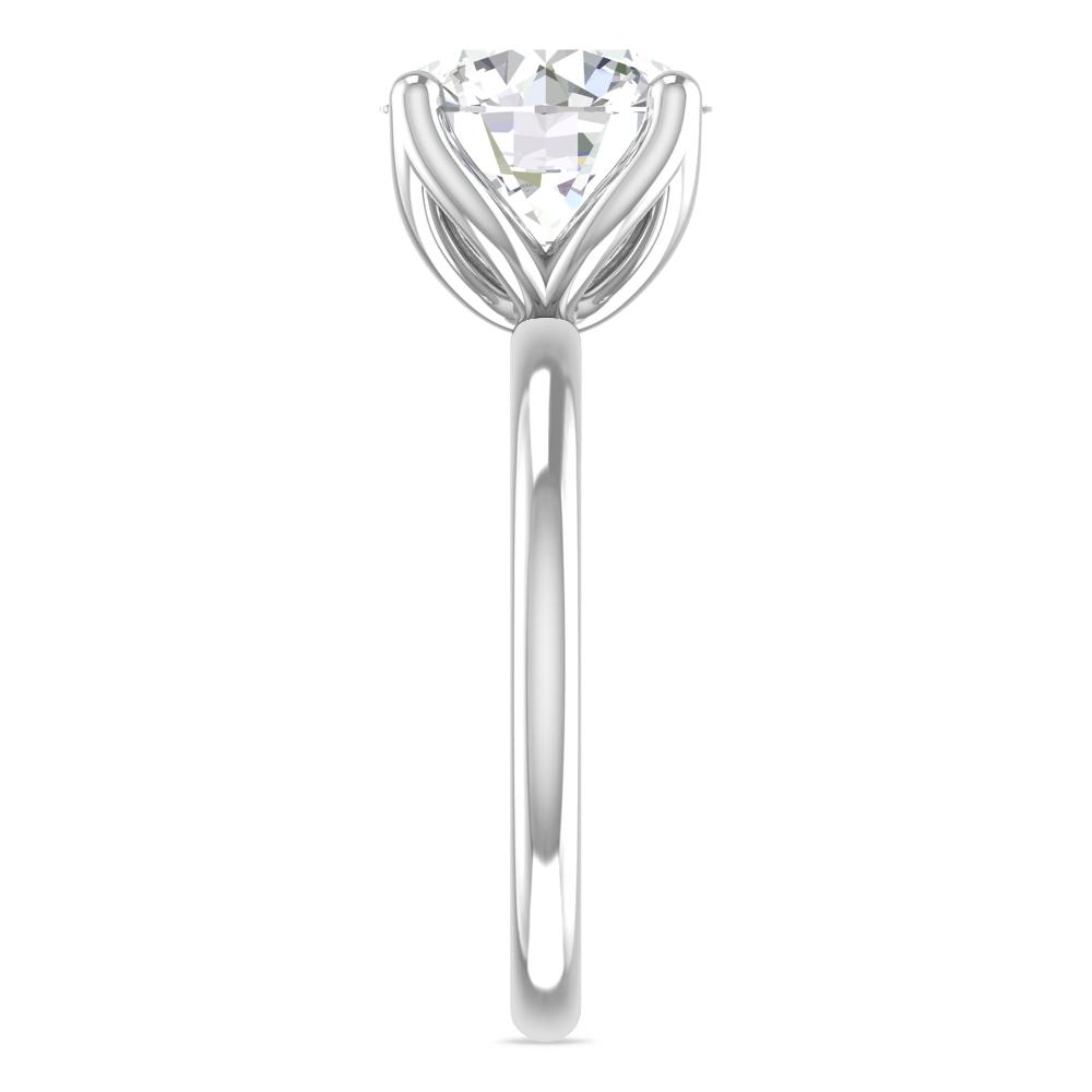 White Gold - 4