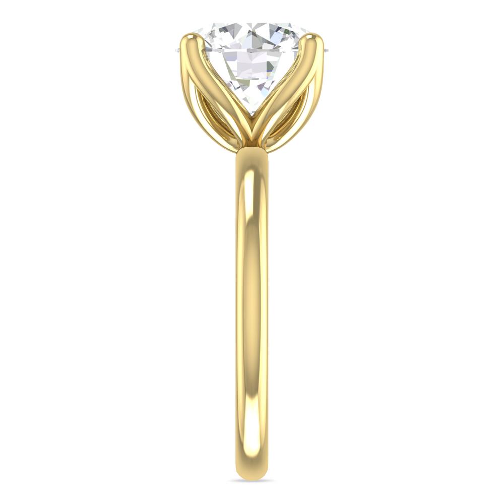 Yellow Gold - 4