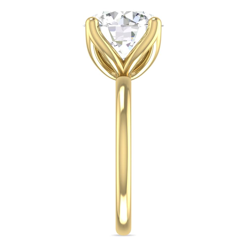 Yellow Gold - 5